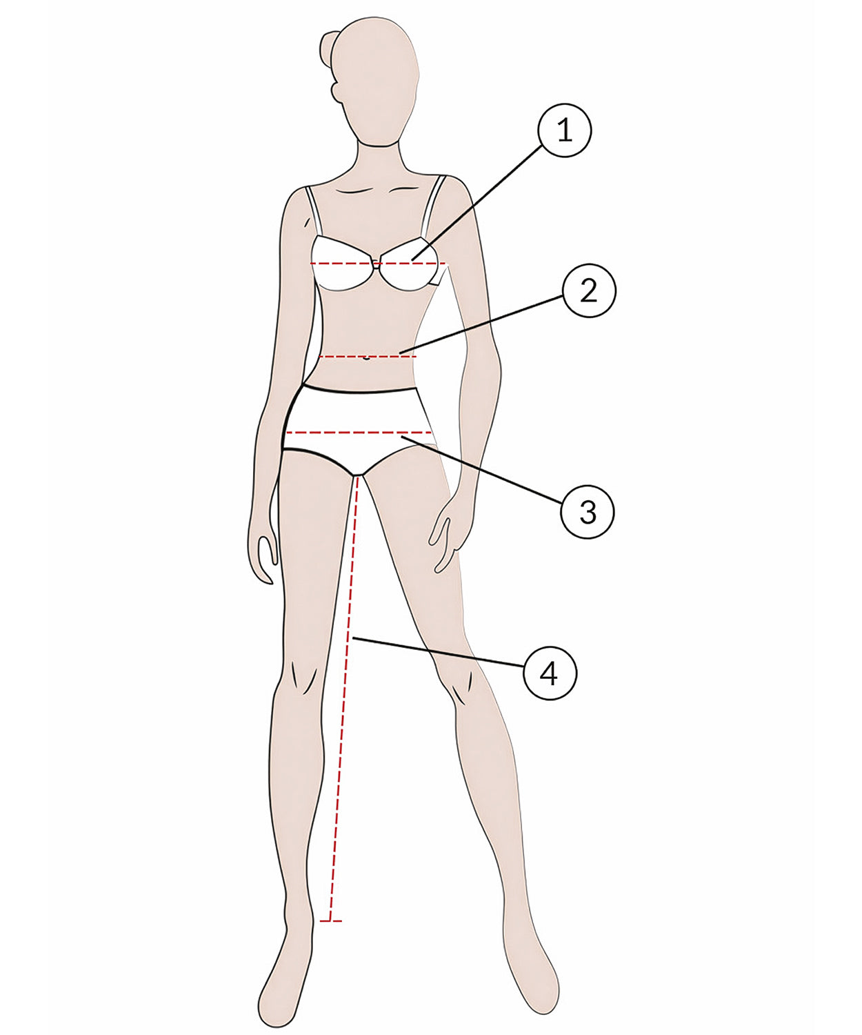 Damen Silhouette mit Nummerierungen für das richtige Messen.